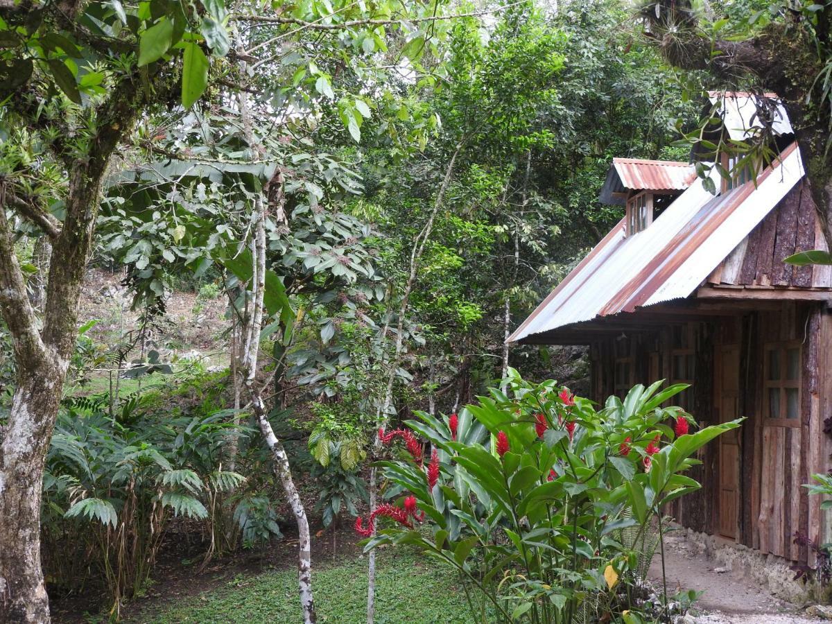 Nawal Hotel ลังกิน ภายนอก รูปภาพ